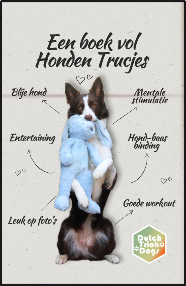 Een boek vol Honden Trucjes (e-book)