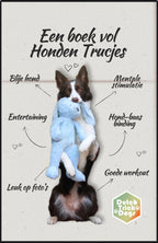 Een boek vol Honden Trucjes (e-book)