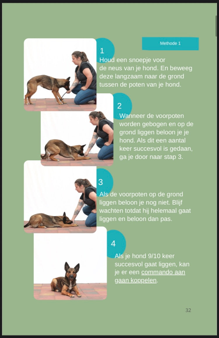 Een boek vol Honden Trucjes (combi)