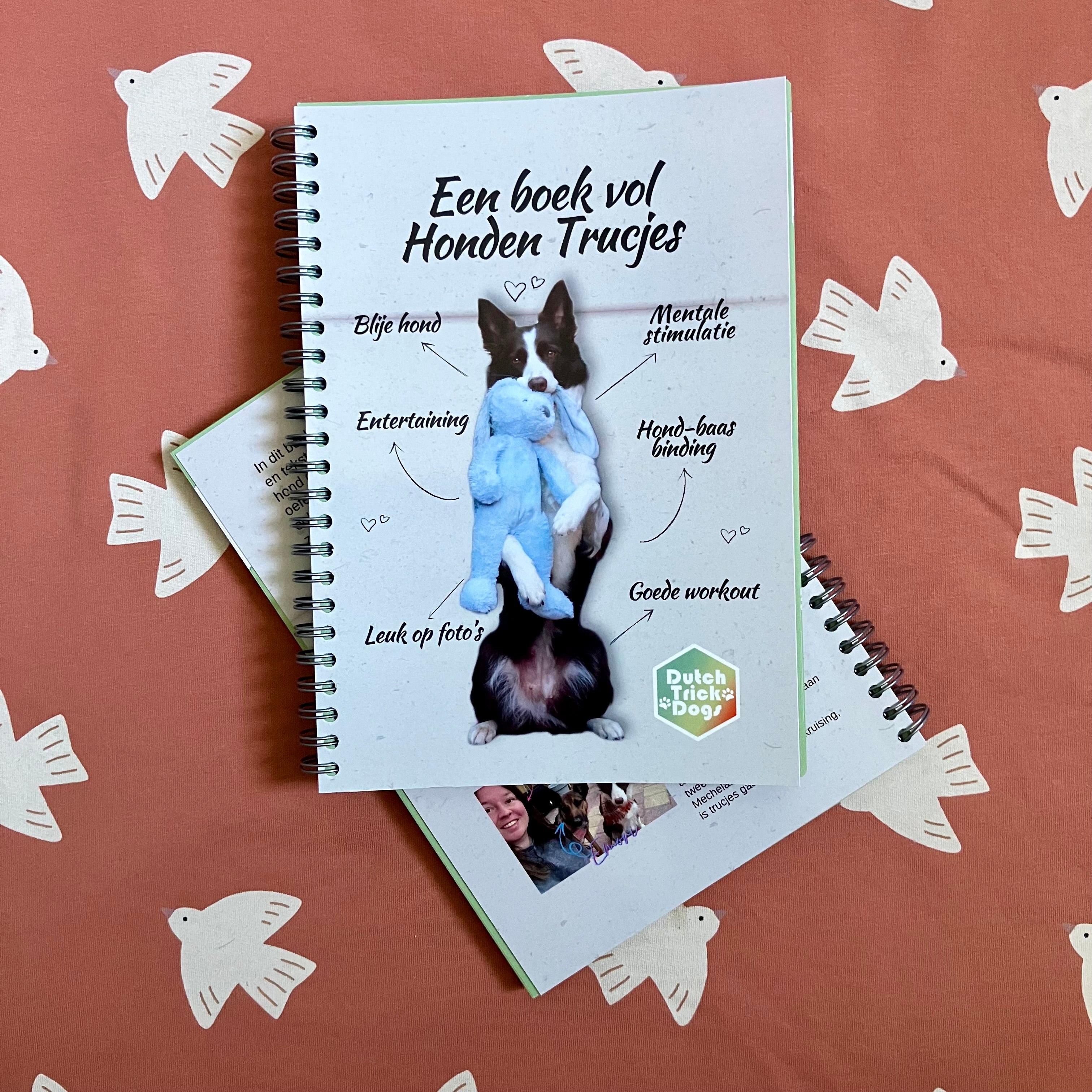 Een boek vol Honden Trucjes (ringband)