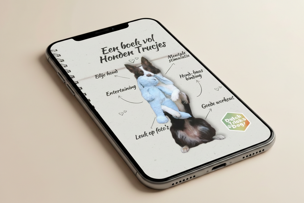 Een boek vol Honden Trucjes (combi)