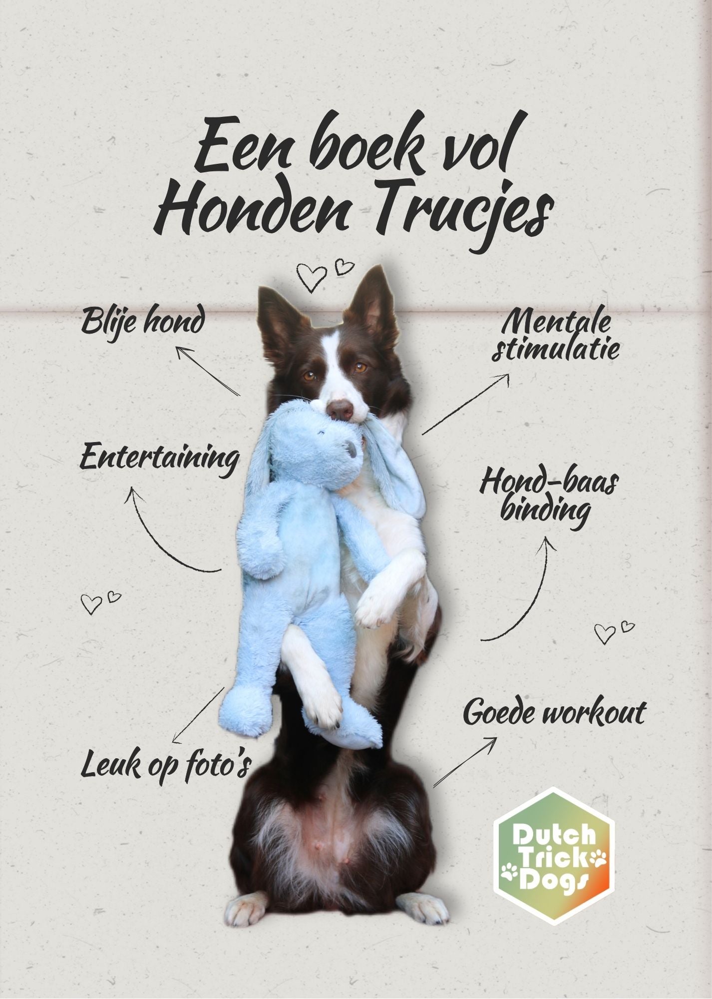 Een boek vol Honden Trucjes (combi)